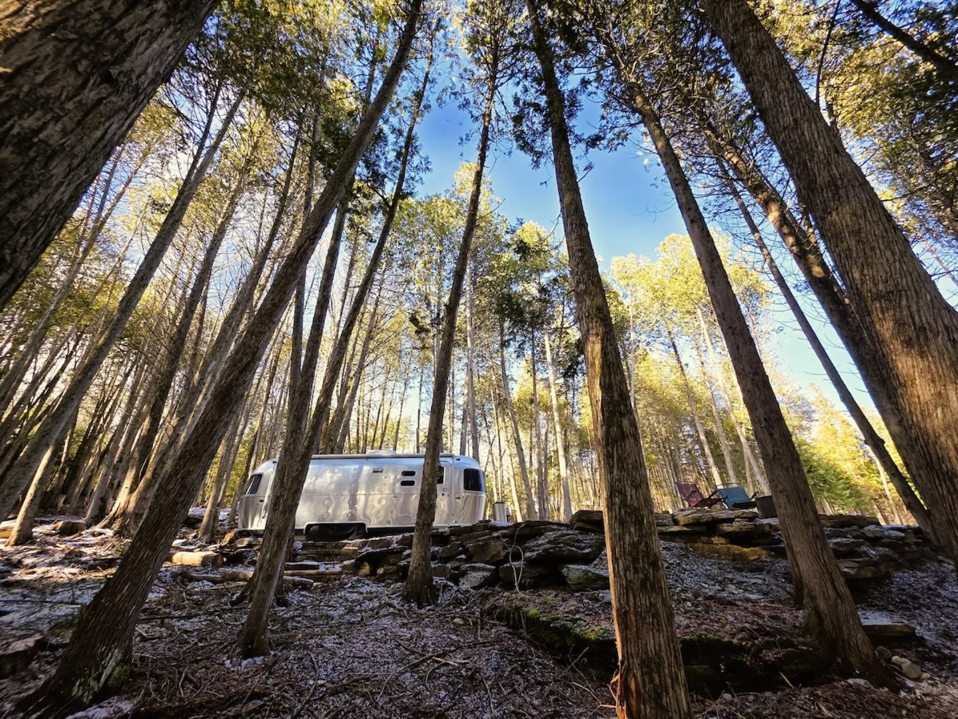The Airstream in its cedar grove at Dragonwood