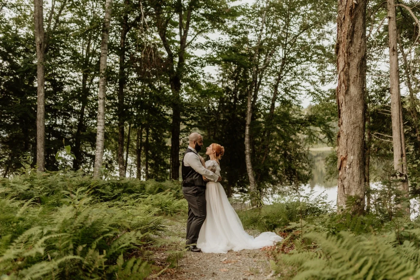 A wedding couple portrait among the ferns and Maine woods